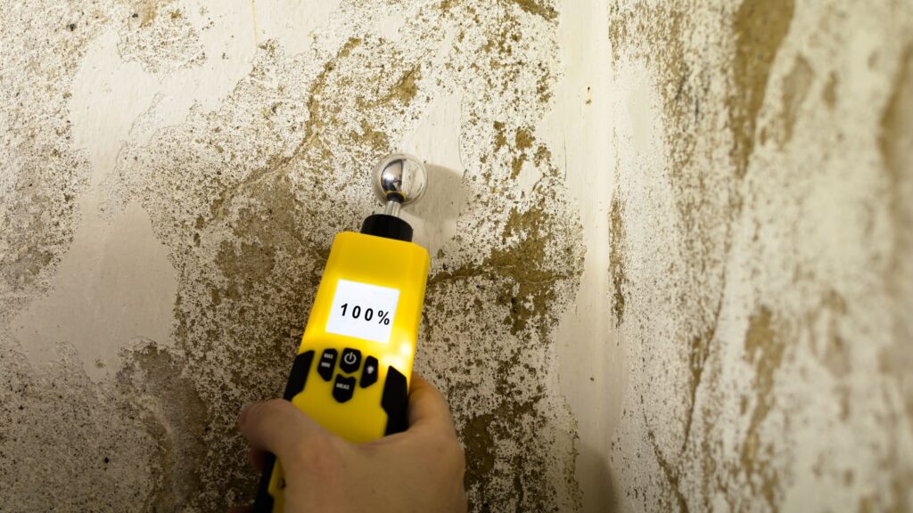 Traitement Humidité Maison - Solutions